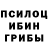 Псилоцибиновые грибы мухоморы Irina Ryaskova
