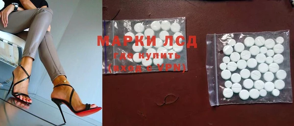 индика Абинск