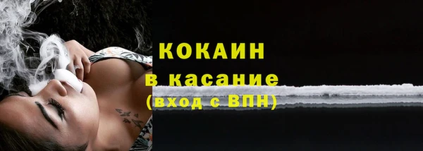 индика Абинск