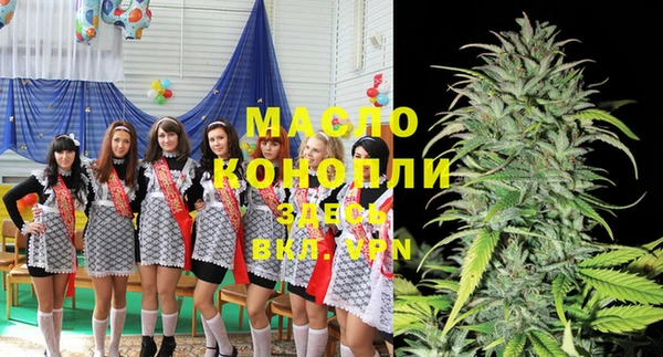 индика Абинск
