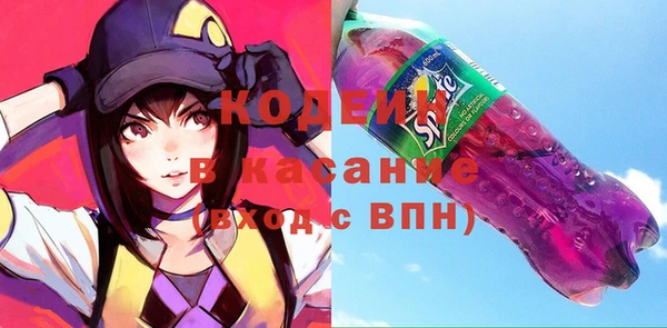 индика Абинск